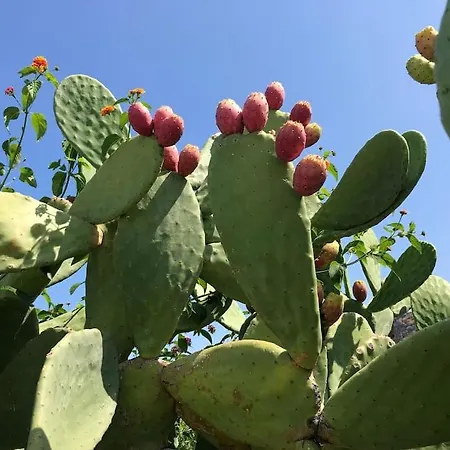 Casa Le Quattro Sorelle بيت للعطل بارغيليا